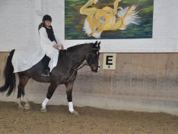 dsc_0229_web